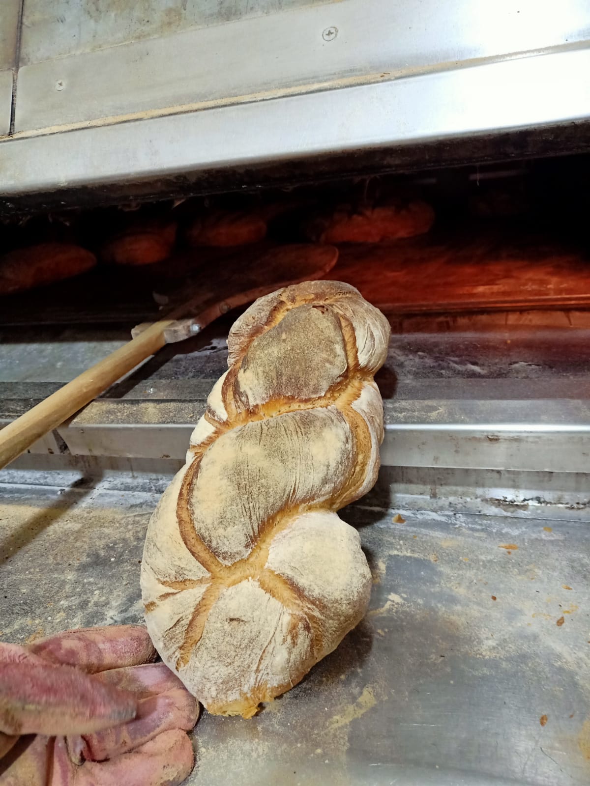 Treccia