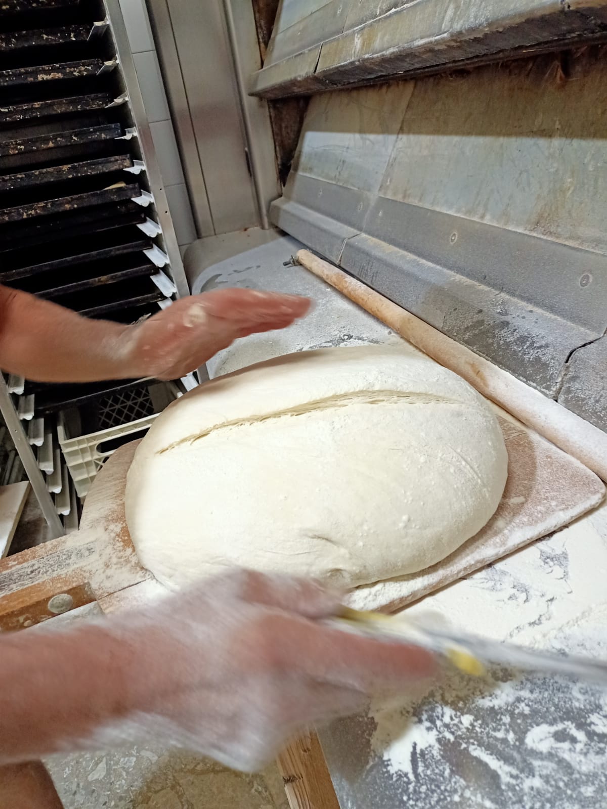 Pane prima di venir infornato