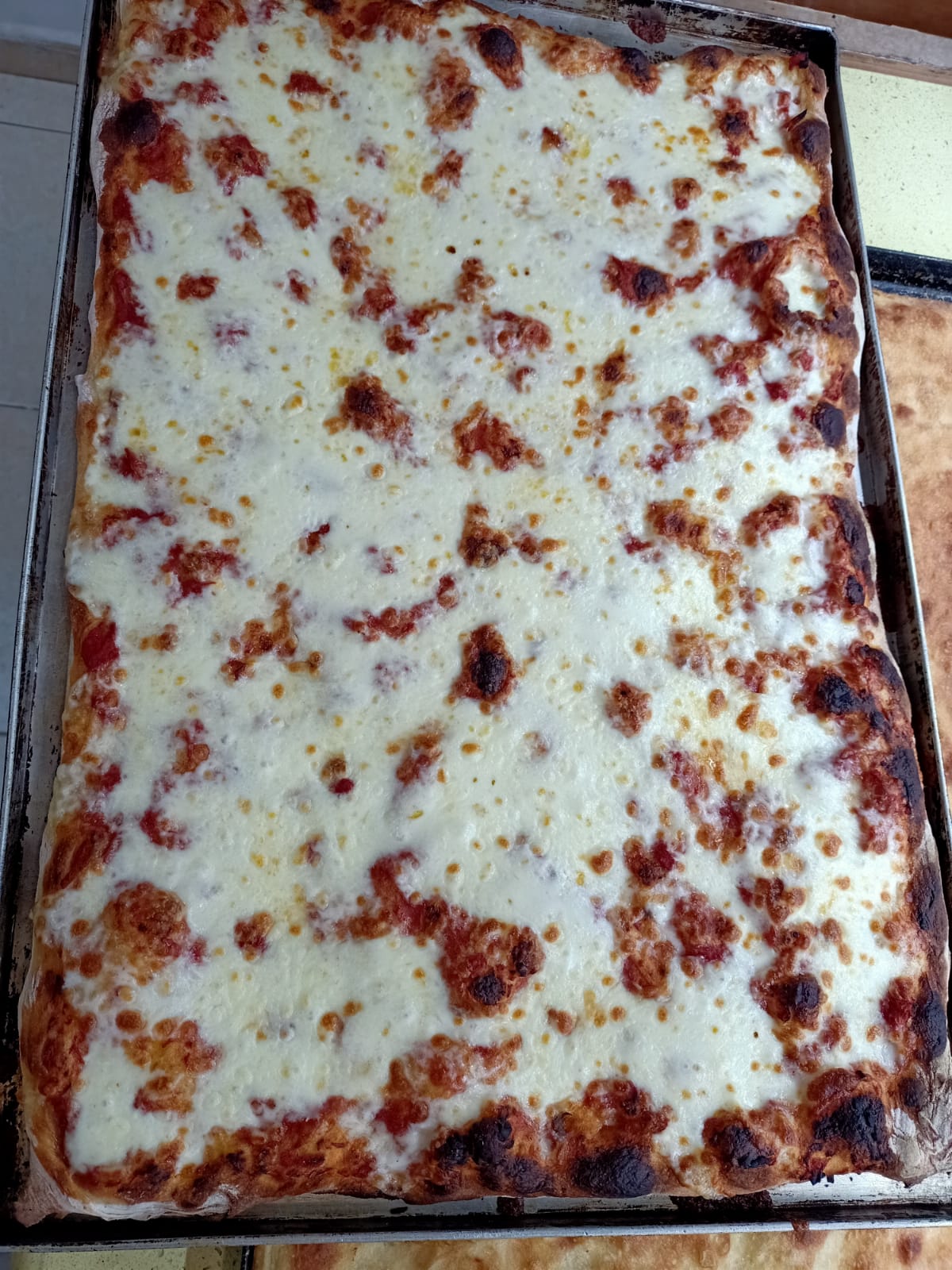 pizza margherita