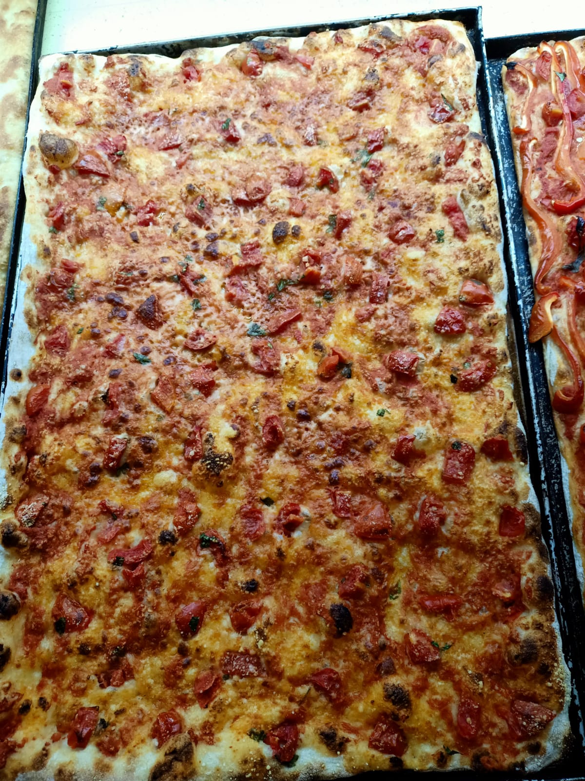pizza pomodoro